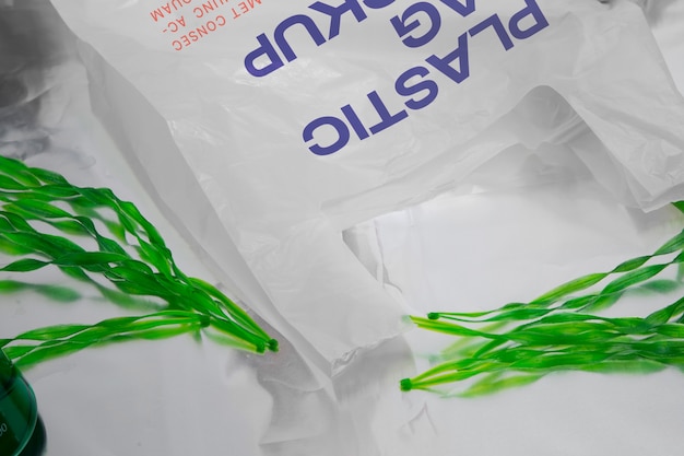 Maqueta de bolsa de plástico con algas.
