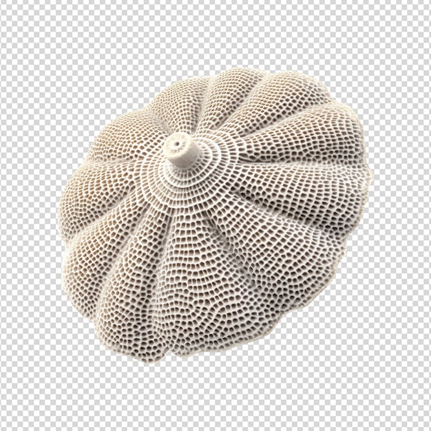 PSD maqueta de coral de abanico en 3d