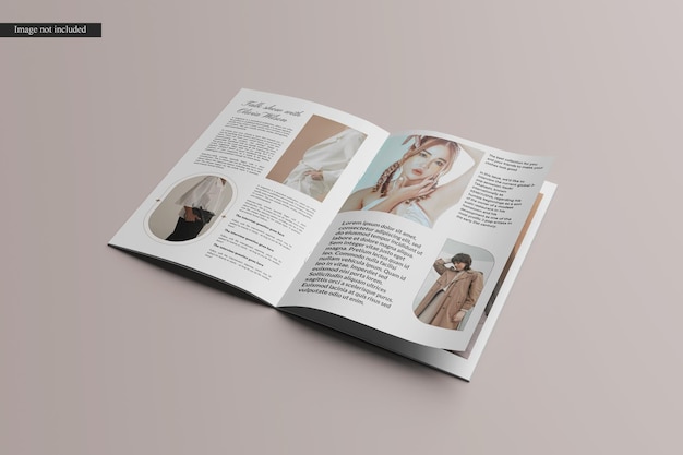 Maqueta del folleto de la revista