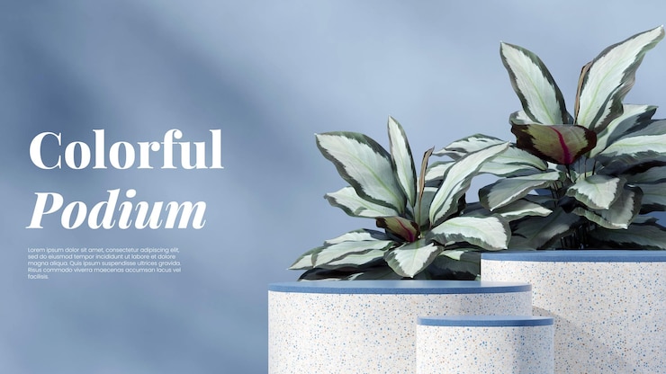 PSD maqueta de plantilla de granito azul y podio de terrazo en el paisaje de la planta de calathea como telón de fondo 3d render