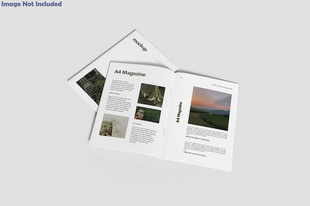 Maqueta de revista A4