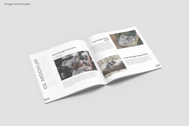 Maqueta Revista
