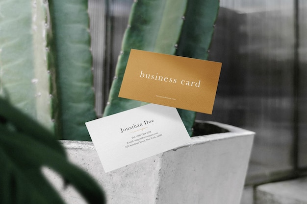 Maqueta de tarjeta de visita mínima limpia flotando en cactus con fondo de hojas Archivo PSD