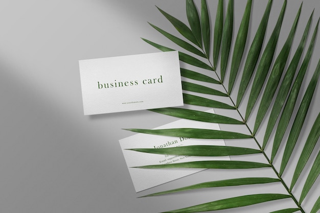 Maqueta de tarjeta de visita mínima limpia en hojas con sombra y luz