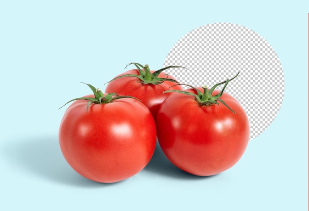 Maqueta de tres tomates frescos