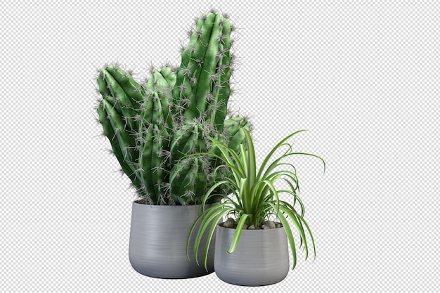 PSD maquete de 3d renderizados plantas em vaso