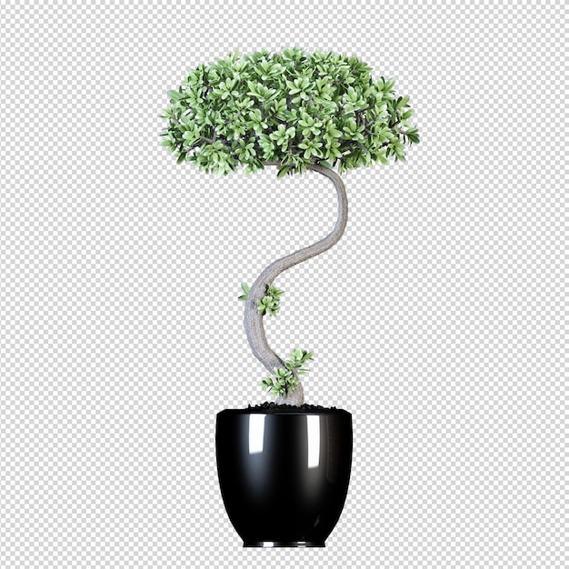 PSD maquete de 3d renderizados plantas em vaso