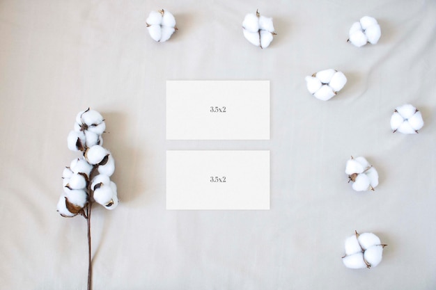 PSD maquete de cartões de visita com planta de algodão no fundo neutro