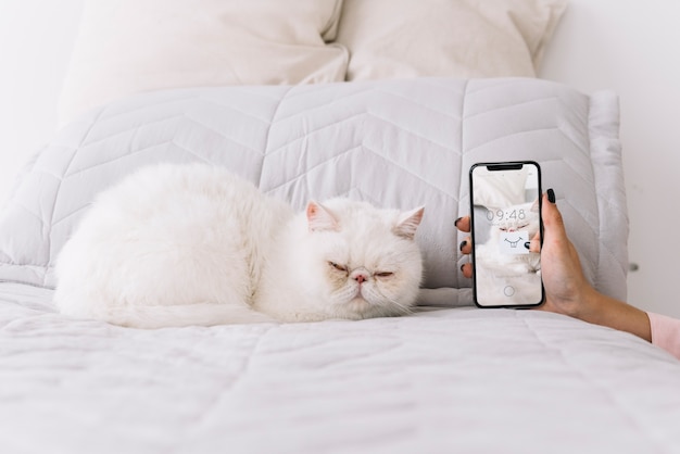 PSD maquete de gato e smartphone no sofá