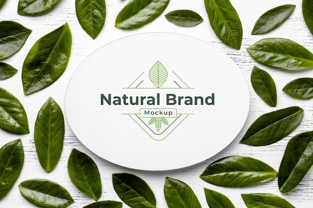PSD maquete de marca natural com folhas