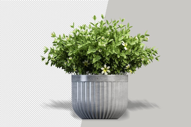 Maquete de plantas renderizadas em 3d em vaso