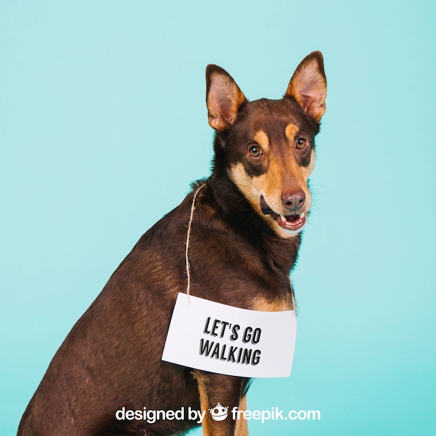 PSD maquete do cão com sinalização