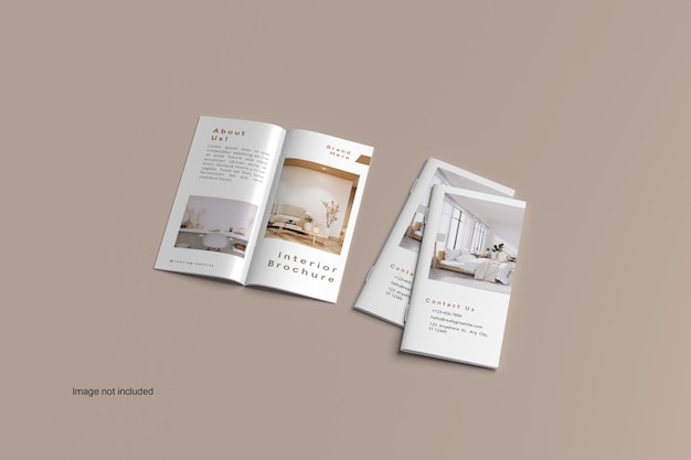 Maquette De Brochure Dl Bifold