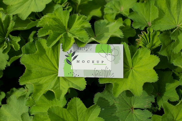 Maquette de carte avec fond floral