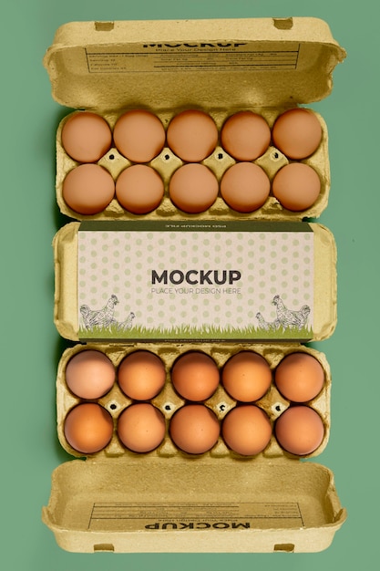 Maquette d'emballage d'œufs écologiques