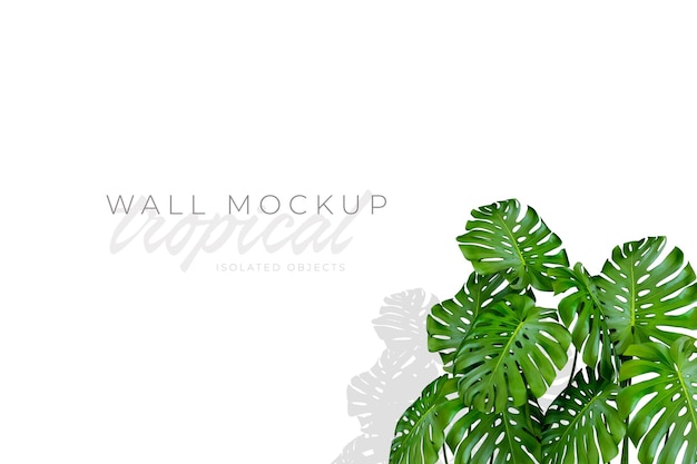 Maquette de fond tropical et d'été