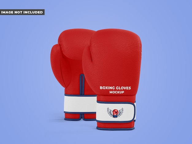 Maquette de gants de boxe