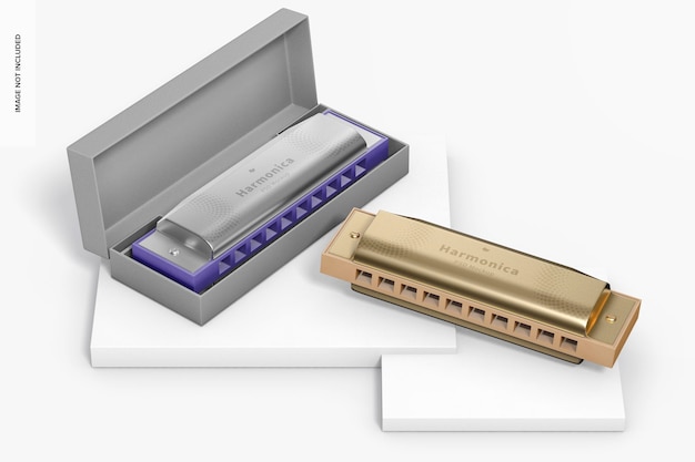 Maquette D'harmonicas, Perspective