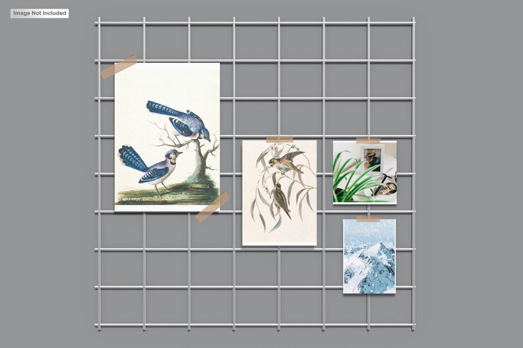 maquette de livre