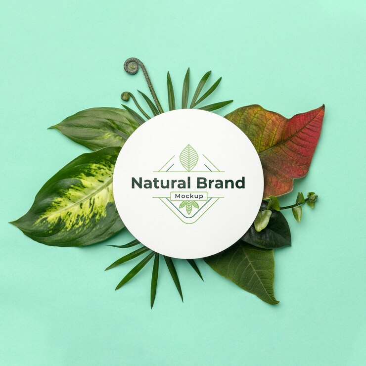 PSD maquette de marque naturelle avec des feuilles