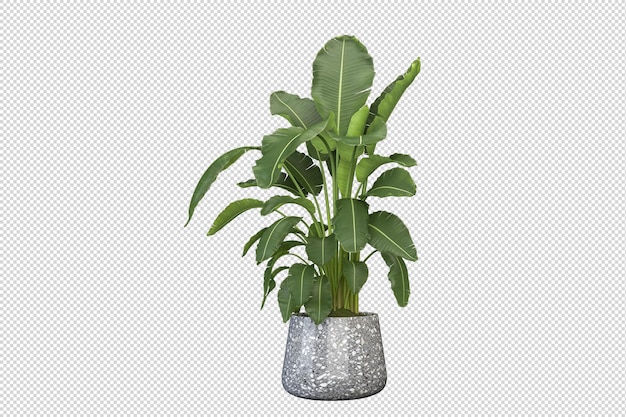 Maquette De Plante D'intérieur Verte En Rendu 3d