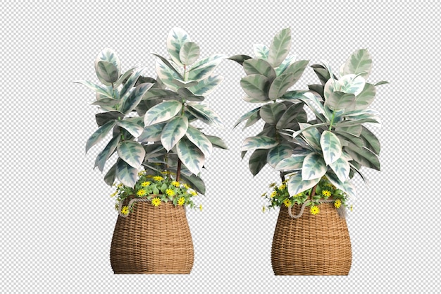 PSD maquette de plante d'intérieur verte en rendu 3d