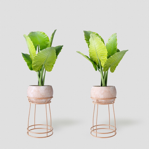 Maquette De Plantes De Rendu 3d En Pots