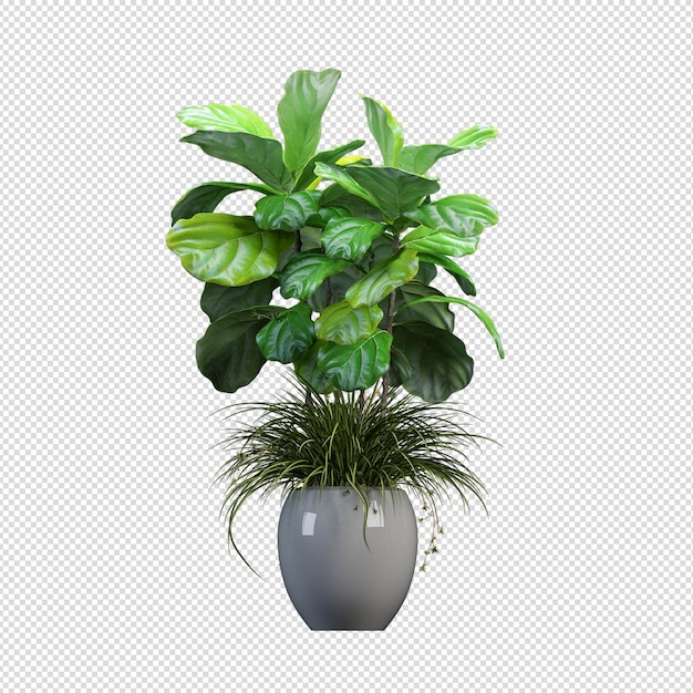 Maquette de plantes de rendu 3D en pots