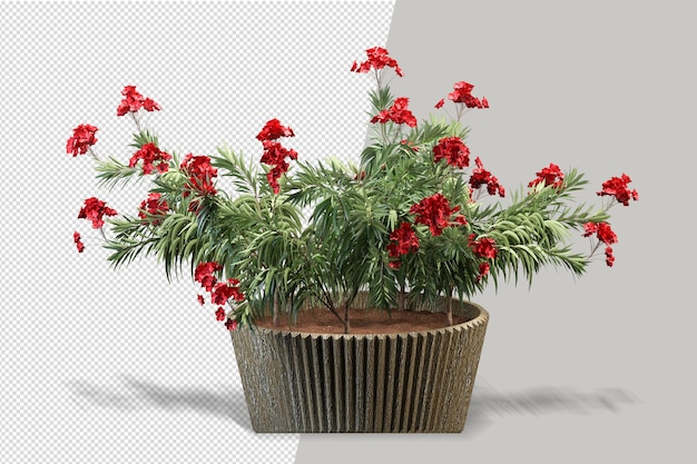 Maquette De Plantes Rendues En 3d En Pot