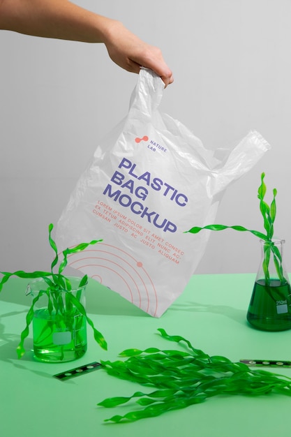 PSD maquette de tourbière en plastique avec des algues