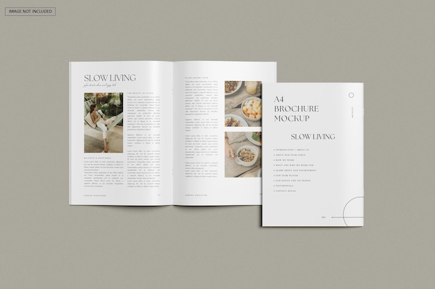 Maquettes de brochures et de catalogues