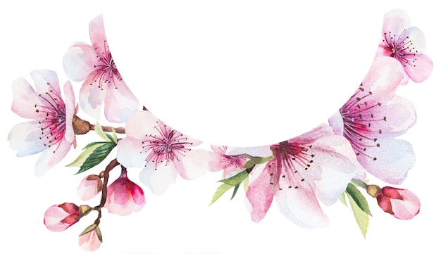 Marco con acuarela flores de cerezo rosas y hojas verdes ilustraciones aisladas de sakura de boda