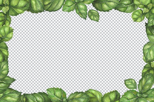 PSD marco rectangular vegetariano con hojas de albahaca fresca. ilustración verde acuarela botánica.