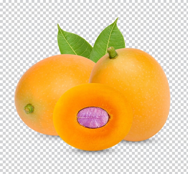Marian Plum com folhas isoladas Premium PSD
