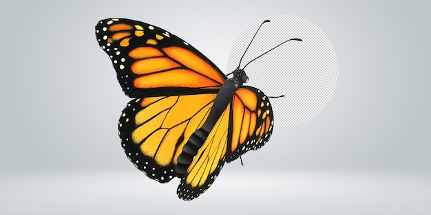 mariposa aislada sobre un fondo transparente