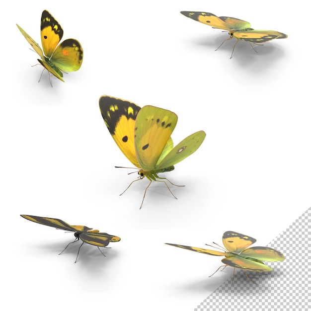 La mariposa amarilla