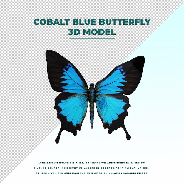 Mariposa azul cobalto