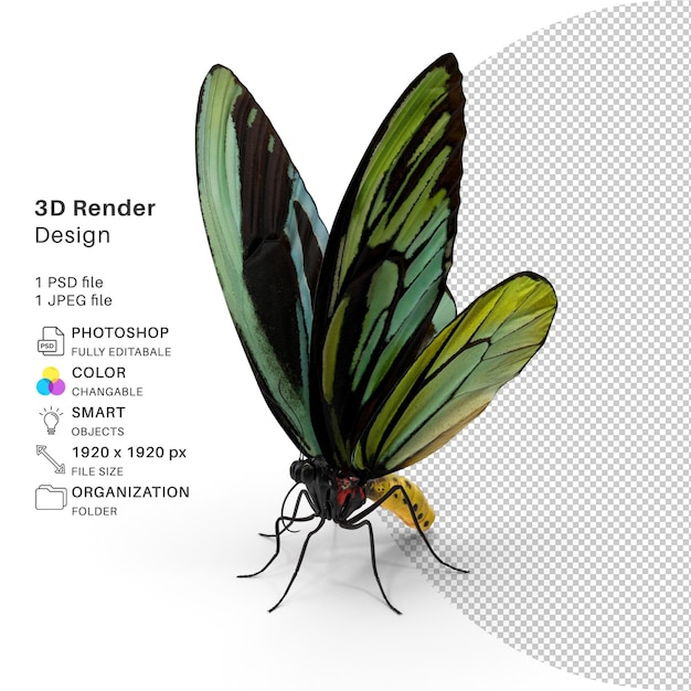 PSD mariposa modelado 3d archivo psd mariposa realista