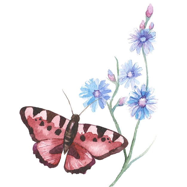 Mariposa pintada con acuarela elementos de diseño dibujados a mano aislados sobre fondo blanco