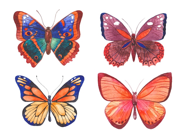 PSD mariposa pintada con acuarela elementos de diseño dibujados a mano aislados sobre fondo blanco