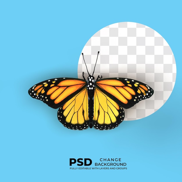 Mariposa PSD aislada