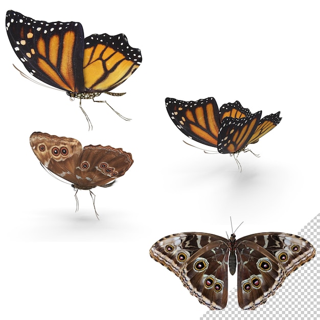 Las mariposas que vuelan