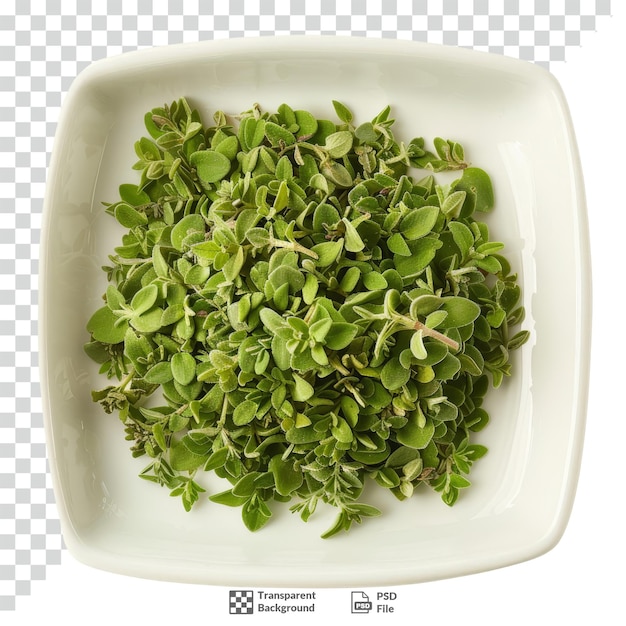 Marjoram en un plato blanco con fondo transparente
