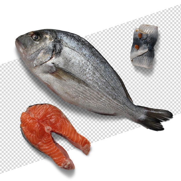Markt für frische Fische