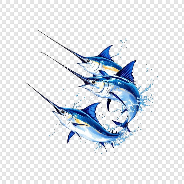 PSD marlin azul do atlântico isolado em fundo transparente