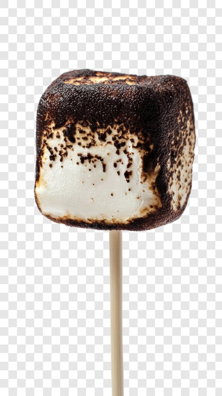 PSD marshmallow quemado en aislado de palo sobre un fondo transparente