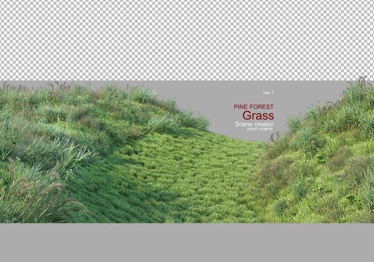 PSD meadows in pine forests