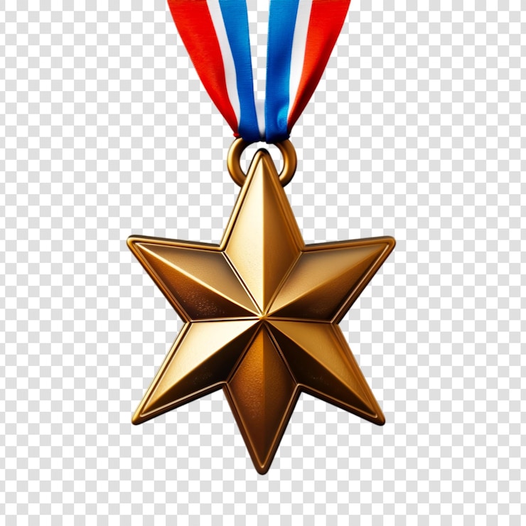 PSD medalla de la estrella premio de honor militar logro de bronce