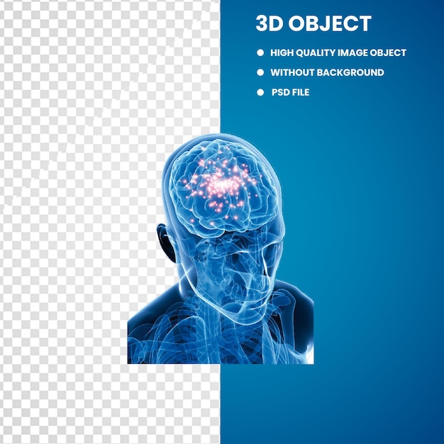 Medicina Neurologia Neurochirurgia Neurofeedback