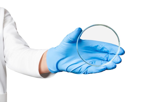 Médico ou técnico de laboratório segurando uma placa de Petri em um fundo vazio para apresentações médicas